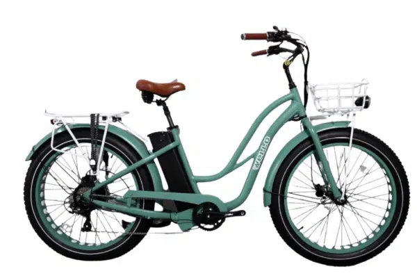 Fat bile adulte 750watts